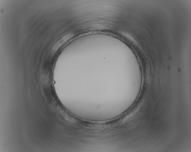 X0000077380873200611101727