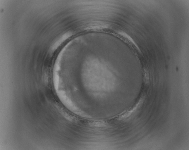 X0000077380874200611101727