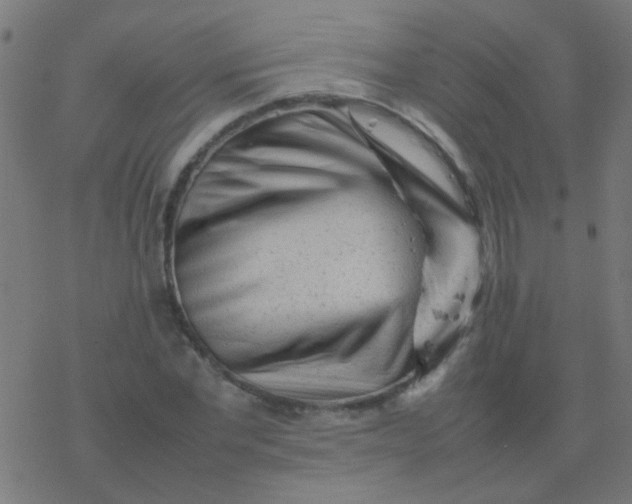 X0000077380877200611101727