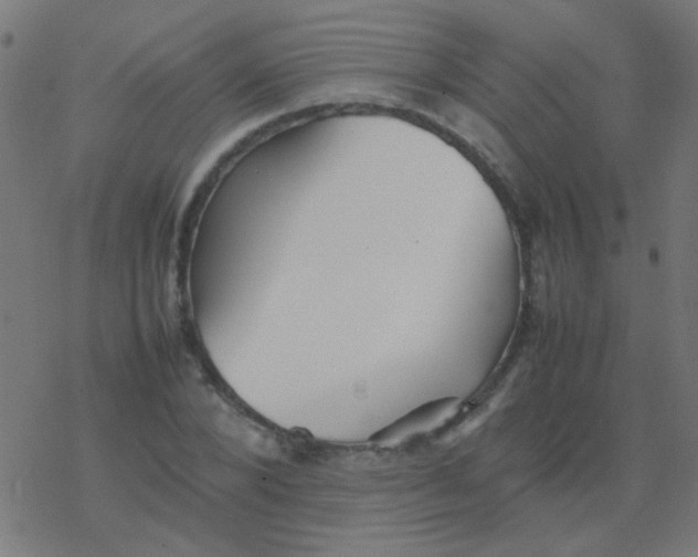 X0000077380880200611101727