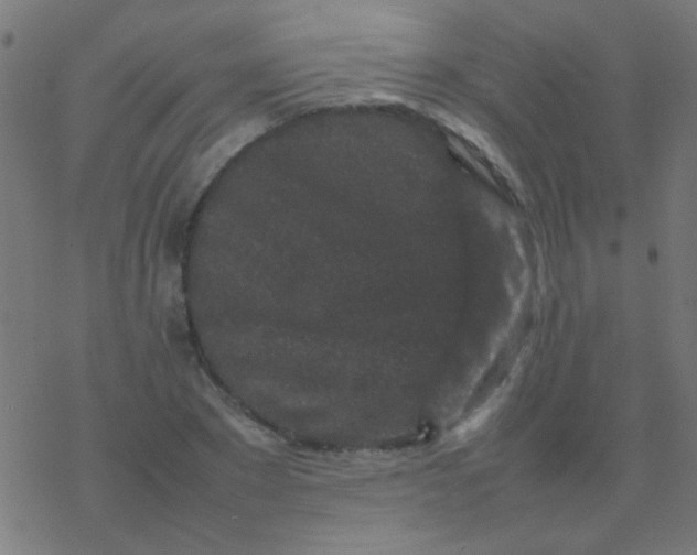 X0000077380881200611101727