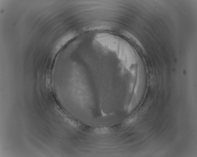 X0000077380882200611101727