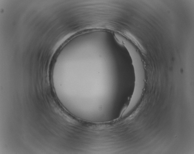 X0000077380884200611101727