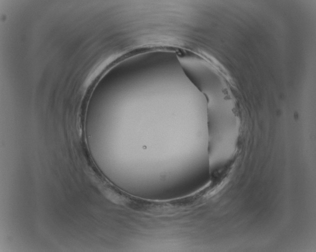 X0000077380885200611101726