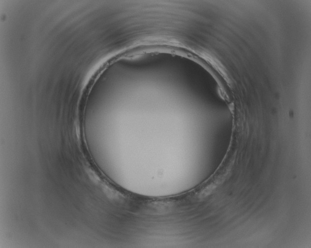 X0000077380888200611101726