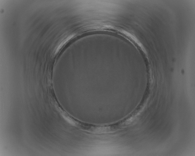 X0000077380889200611101726