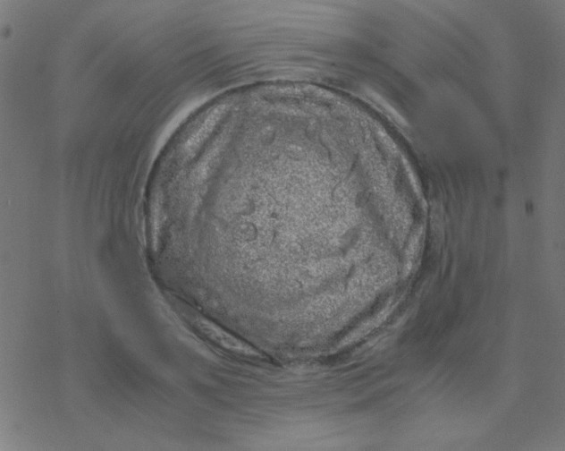 X0000077380891200611101726