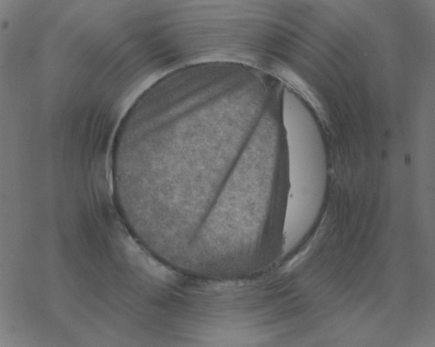 X0000077380892200611101726