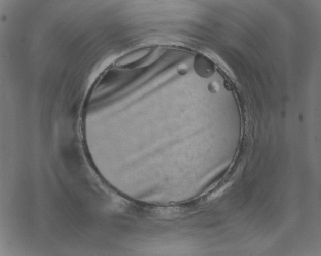 X0000077380893200611101726