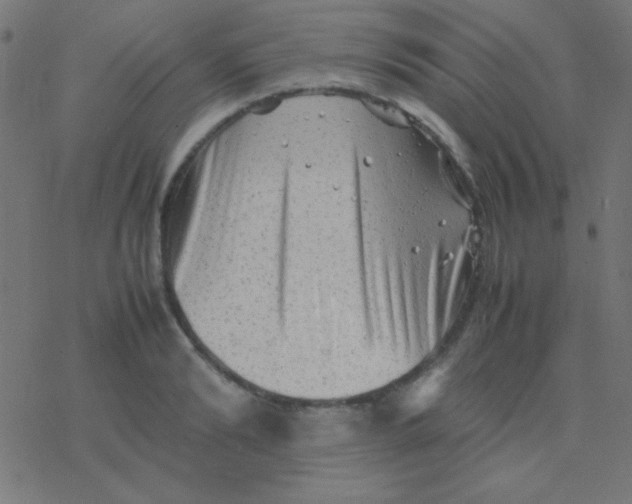 X0000077380894200611101726