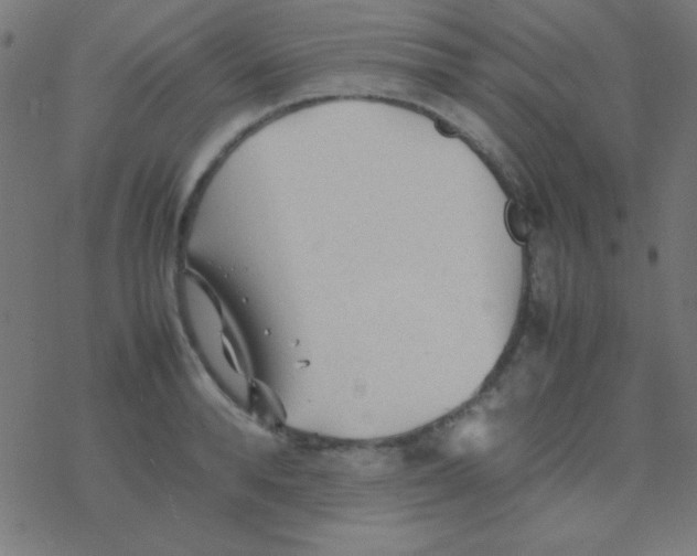 X0000077380896200611101726