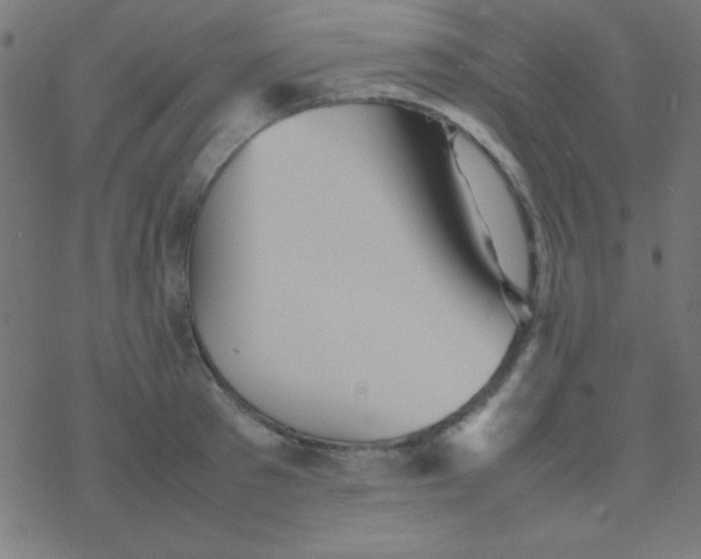 X0000077380897200611101726