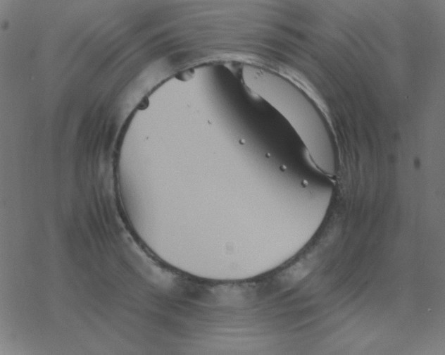 X0000077380898200611101726