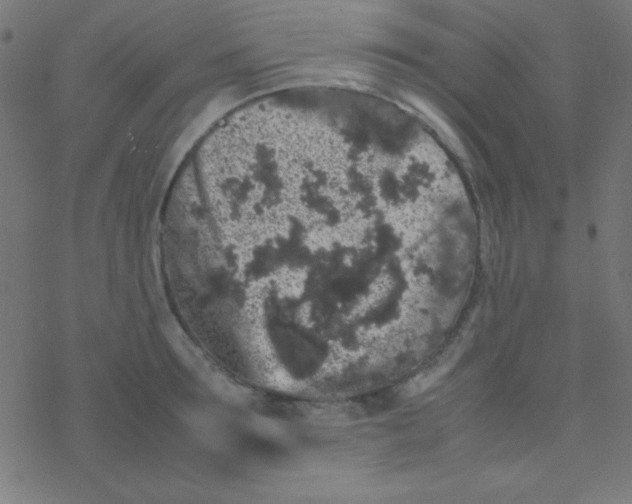 X0000077380899200611101726