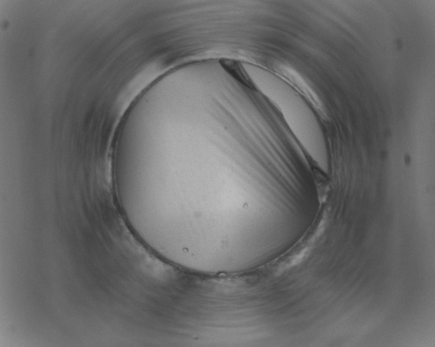 X0000077380900200611101726