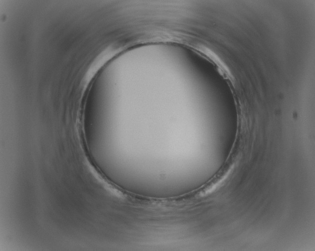 X0000077380901200611101726