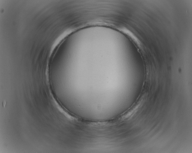 X0000077380902200611101726