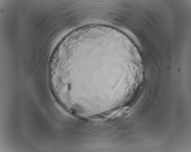 X0000077380903200611101726