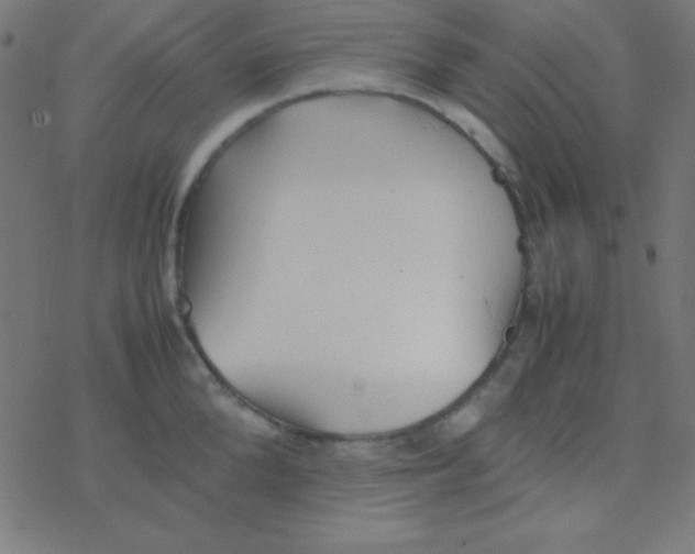 X0000077380904200611101726