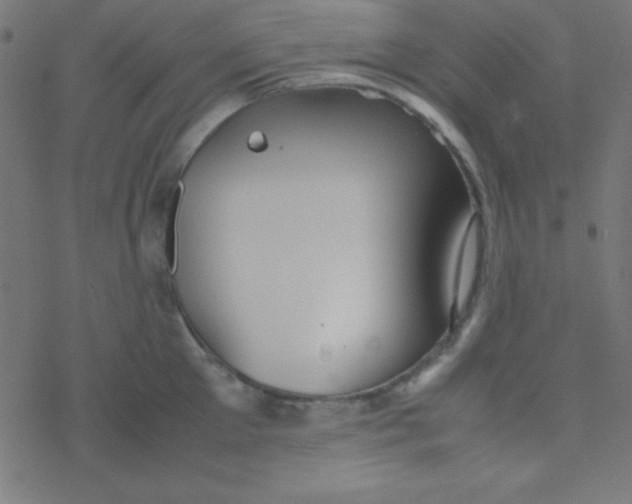 X0000077380905200611101726