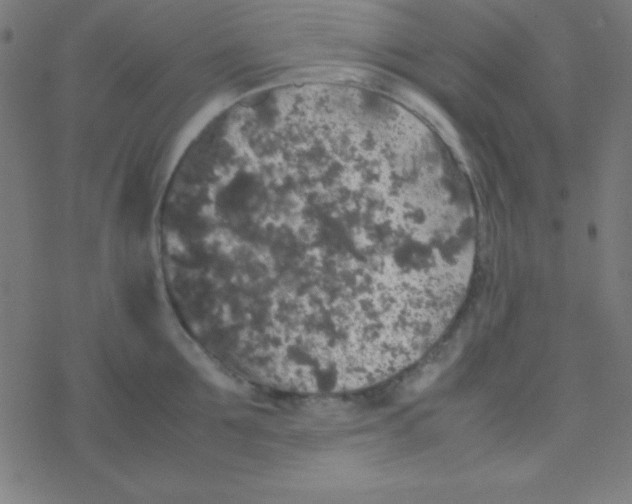 X0000077380907200611101726