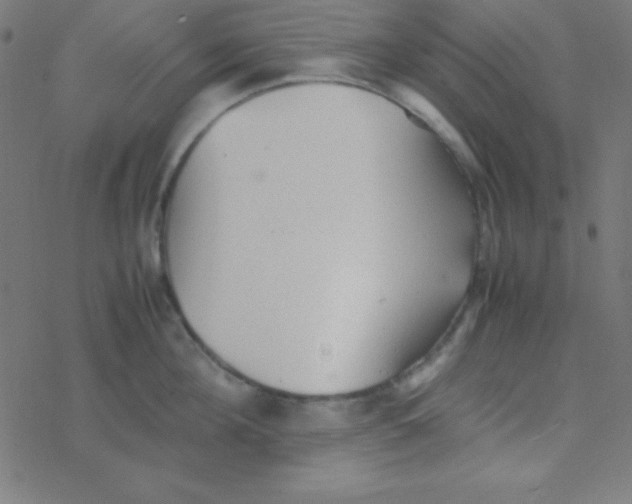 X0000077380908200611101726