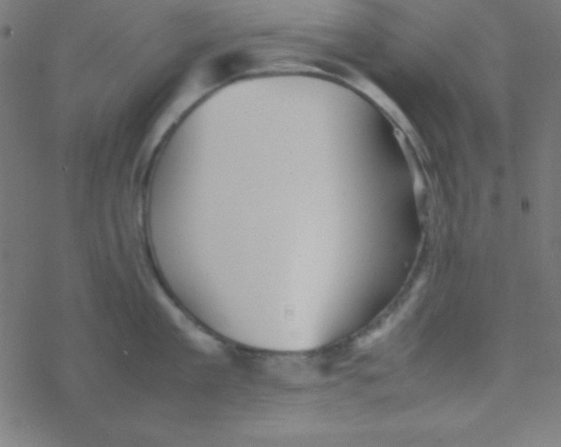 X0000077380909200611101726