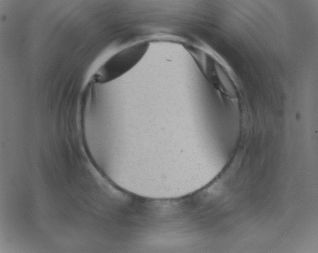 X0000077380910200611101726