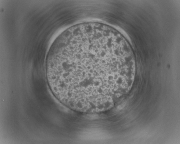 X0000077380911200611101726