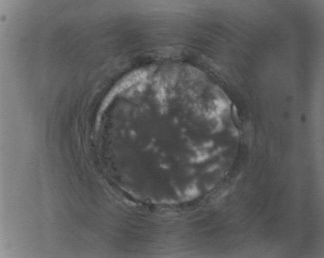 X0000077380913200611101725