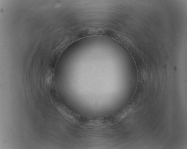 X0000077380914200611101725