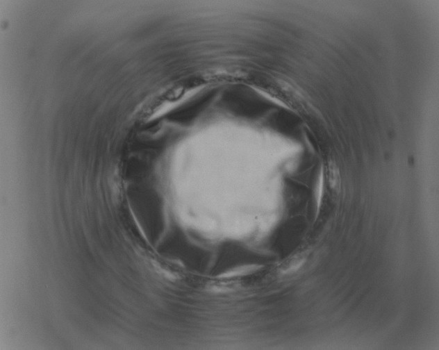 X0000077380915200611101725