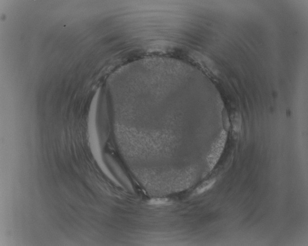 X0000077380916200611101725