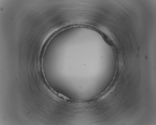 X0000077380924200611101725