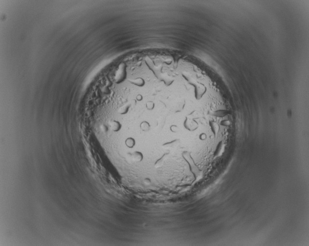 X0000077380925200611101725