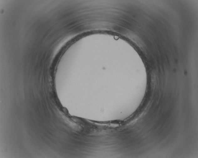 X0000077380926200611101725