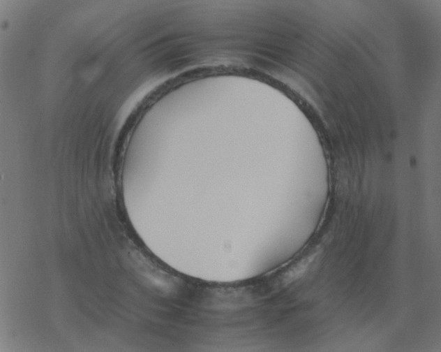 X0000077380927200611101725