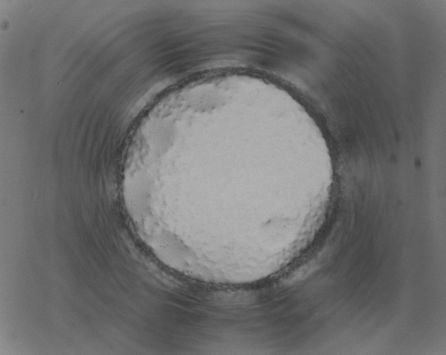 X0000077380929200611101726