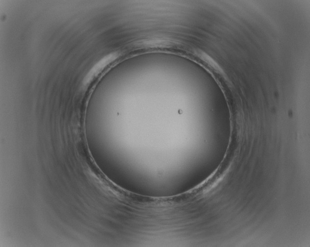 X0000077380930200611101726