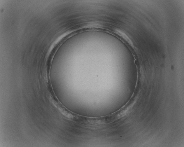 X0000077380931200611101726