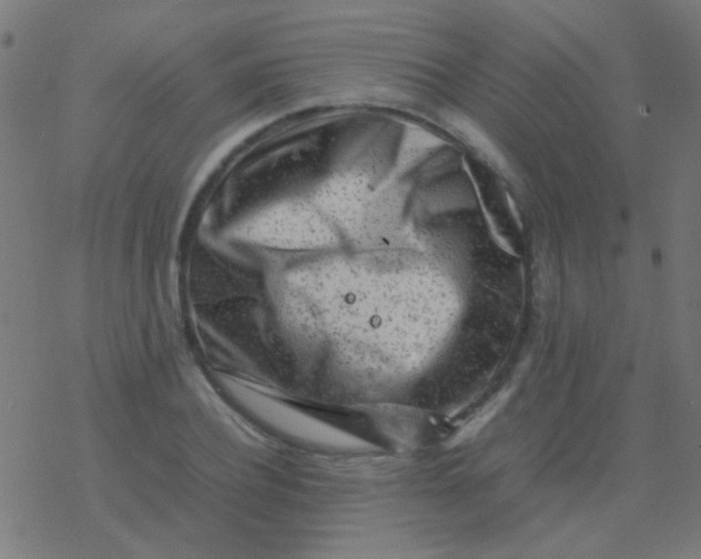 X0000077380932200611101726