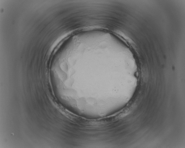 X0000077380933200611101726