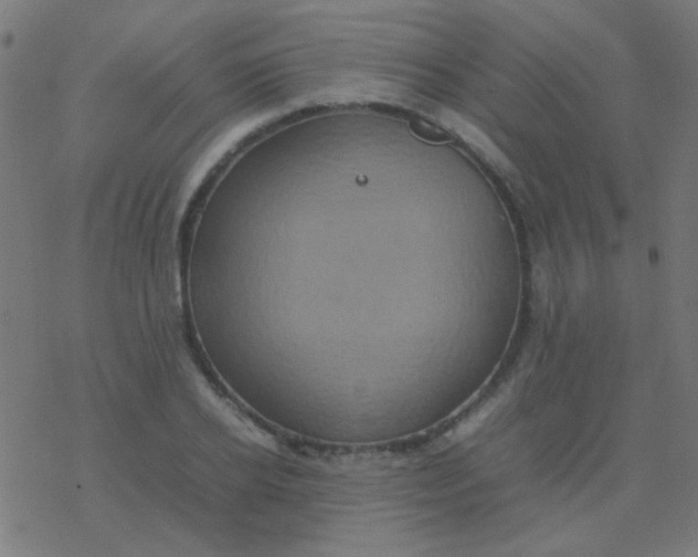 X0000077380934200611101726