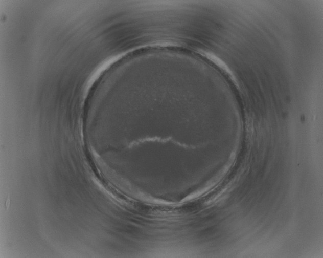 X0000077380935200611101726