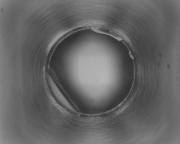 X0000077380936200611101726