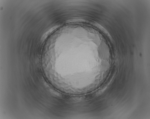 X0000077380937200611101726