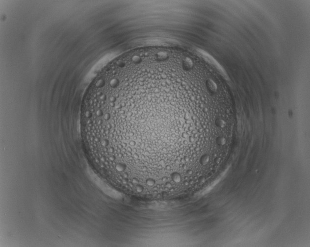 X0000077380938200611101726