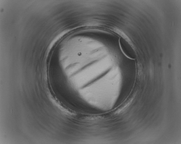 X0000077380939200611101726