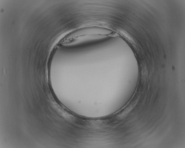 X0000077380940200611101726