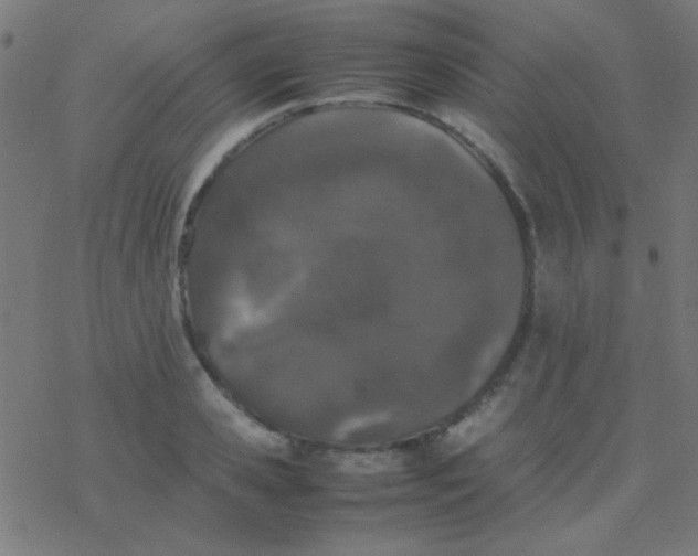 X0000077380941200611101726